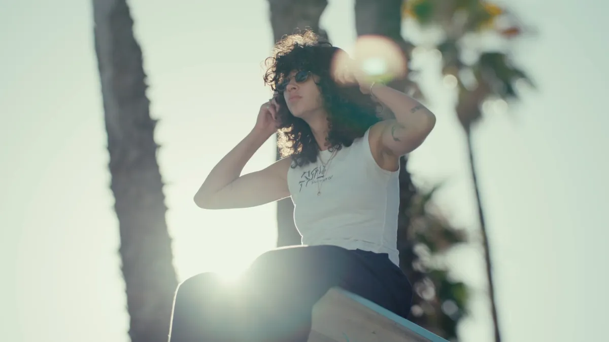 Frame from Momentum: Towa Bird